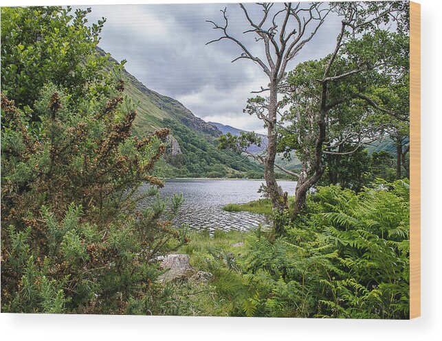 Lake Wood Print featuring the photograph Lake View by Nicole Williams