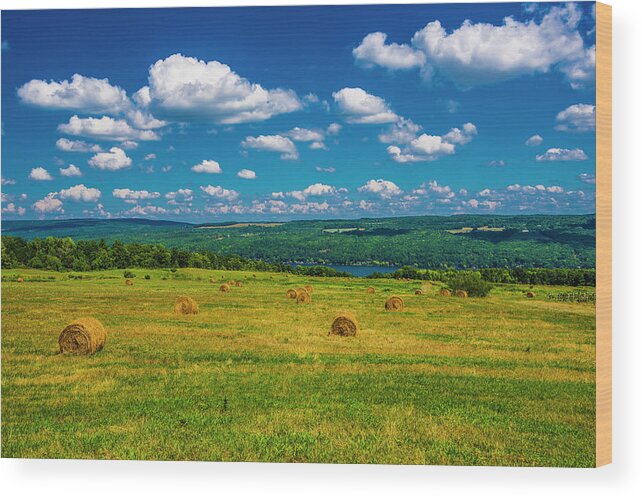 Hay Wood Print featuring the photograph Lakeside Hayfield II by Steven Ainsworth