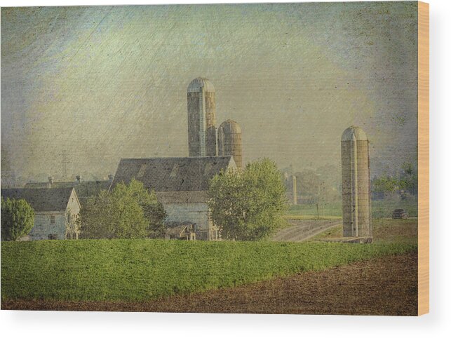 Farm Wood Print featuring the photograph Lancaster Pennsylvania Farm by Dyle Warren