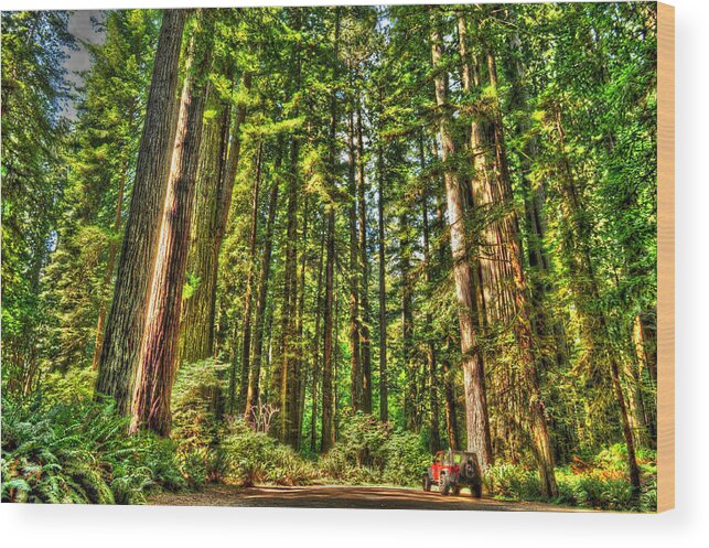 Photograph Wood Print featuring the photograph Land of the Giants by Richard Gehlbach