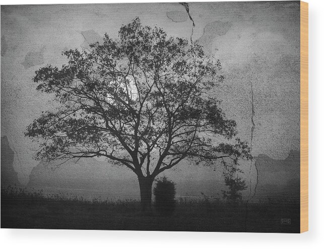 Landscape Wood Print featuring the photograph Landscape On Adobe Wall BW by David Gordon