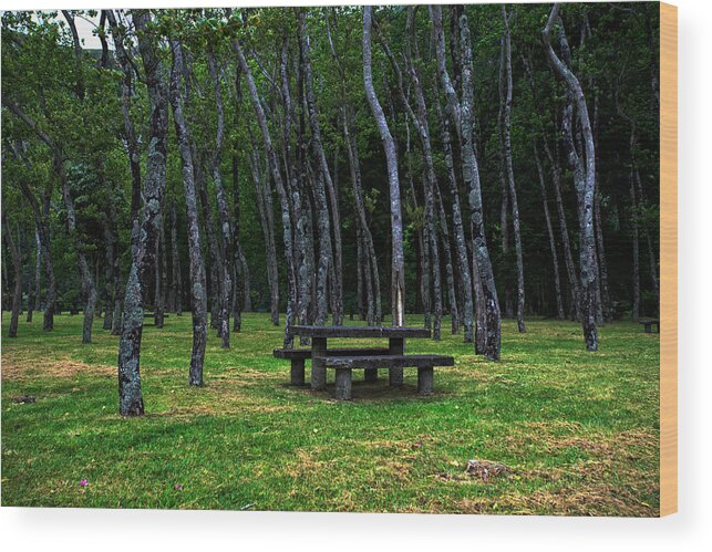 Acores Wood Print featuring the photograph Landscapes-40 by Joseph Amaral