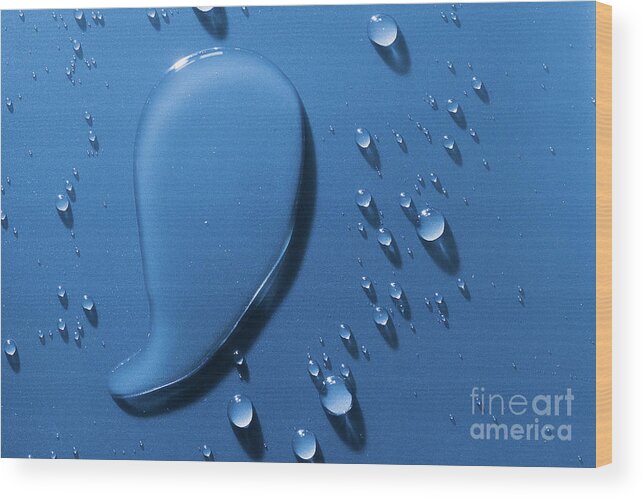 Water Wood Print featuring the photograph Large and small water droplets viewed from above by Simon Bratt