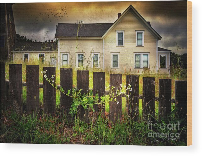 Americana Wood Print featuring the photograph Late Afternoon Storm by Craig J Satterlee