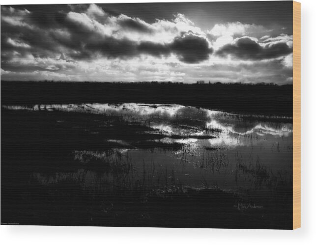 B&w Wood Print featuring the photograph Late Winter Afternoon by Mick Anderson