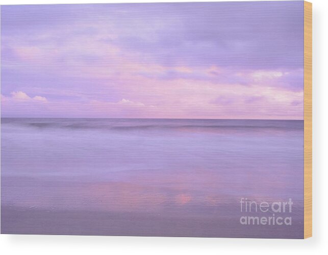 Ocean Wood Print featuring the photograph Lavender Rose by Kelly Nowak