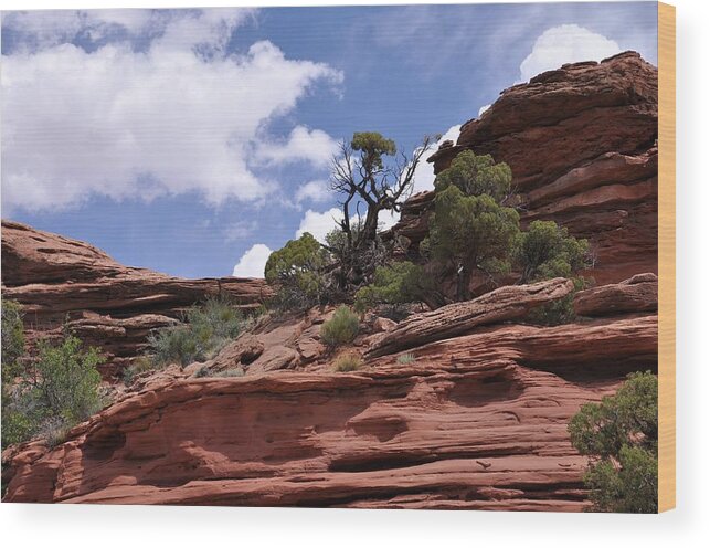 Canyonlands National Park Wood Print featuring the photograph Layers Upon Layers by Frank Madia