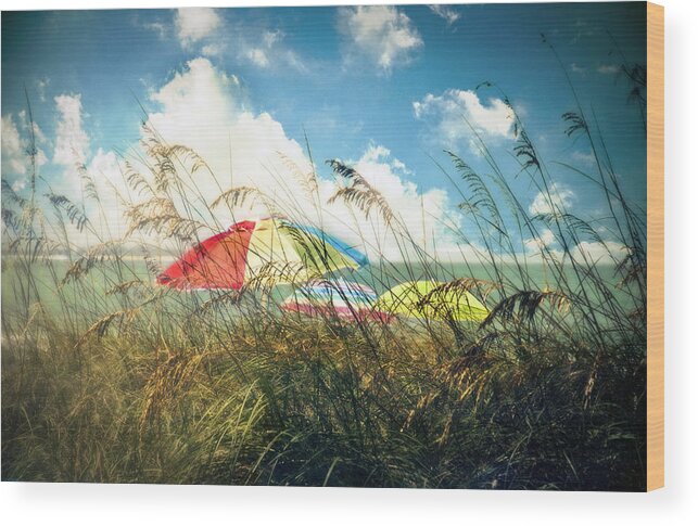 St. Petersburg Wood Print featuring the photograph Lazy Days of Summer by Tammy Wetzel