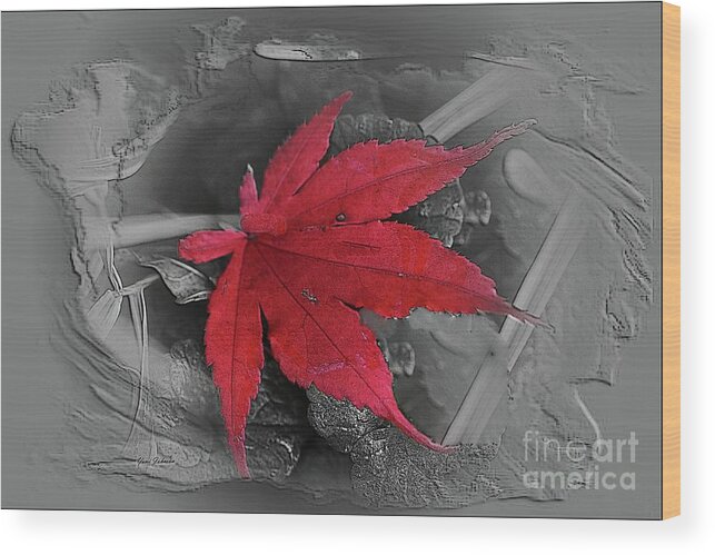 Leaf Wood Print featuring the photograph Leaf abstract by Yumi Johnson