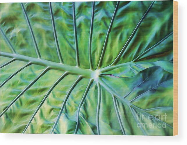 Leaf Wood Print featuring the photograph Leaf Pattern by Teresa Zieba