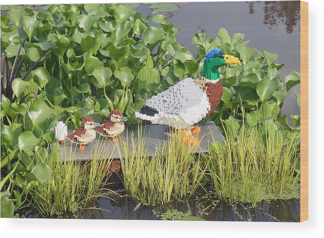 Ducks Wood Print featuring the photograph Lego Duck Garden Display by Ellen Tully