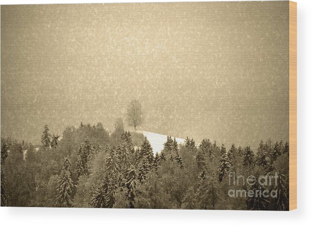 Let It Snow Wood Print featuring the photograph Let it snow - Winter in switzerland by Susanne Van Hulst