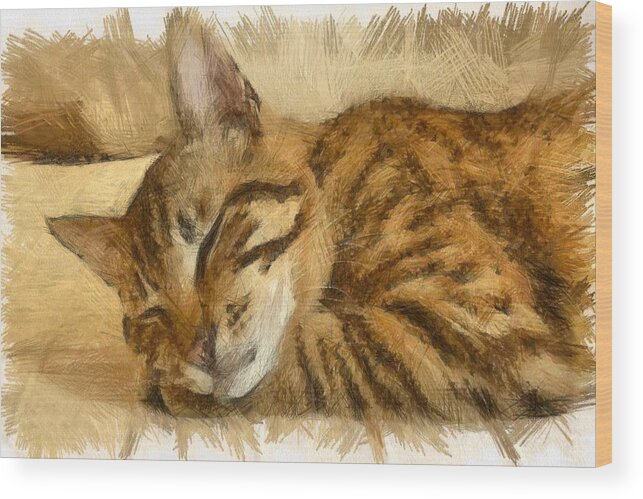 Tabby Cat Wood Print featuring the drawing Let Sleeping Cats Lie by Taiche Acrylic Art