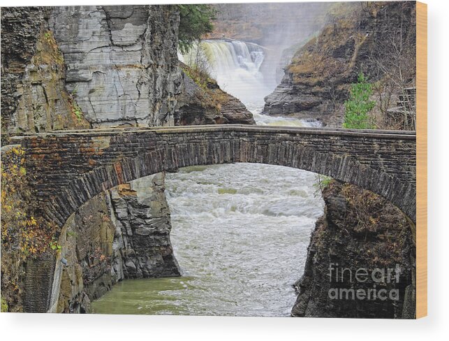 Letchworth Wood Print featuring the photograph Letchworth Lower Falls by Charline Xia