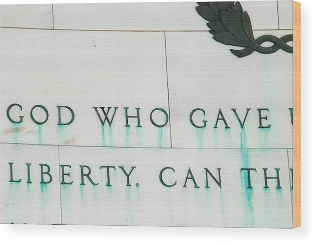 Color Image Wood Print featuring the photograph Liberty by Brian Green