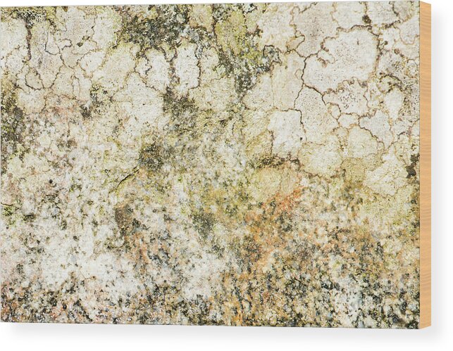 Background Wood Print featuring the photograph Lichen on a stone, background by Torbjorn Swenelius