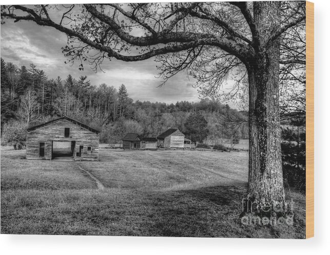 Cades Cove Wood Print featuring the photograph Life Leads Us Along Many Paths by Michael Eingle