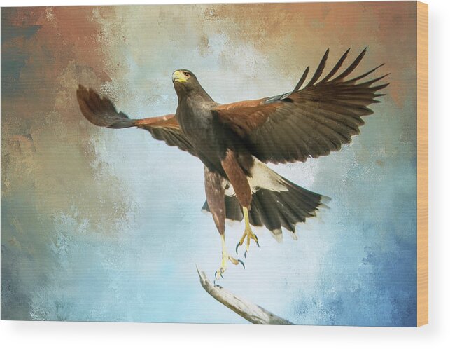 Hawk Wood Print featuring the photograph Lift Off by Barbara Manis