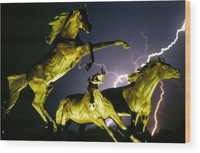 Lightning Wood Print featuring the photograph Lightning At Horse World Fine Art Print by James BO Insogna