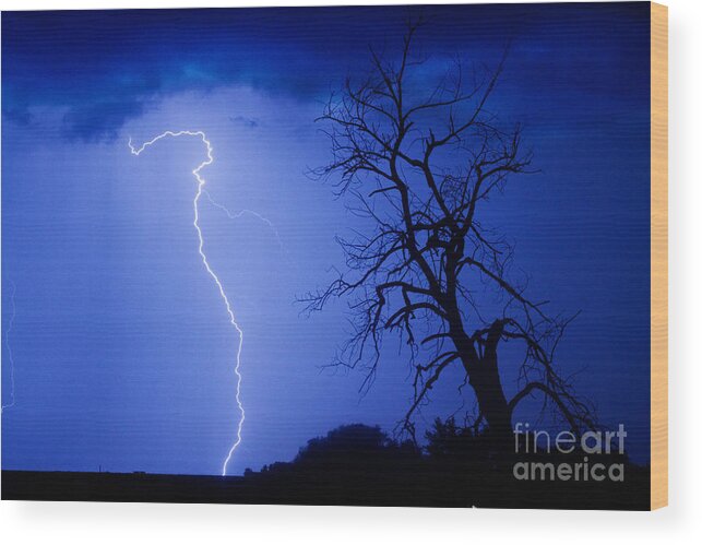 Tree Wood Print featuring the photograph Lightning Tree Silhouette by James BO Insogna