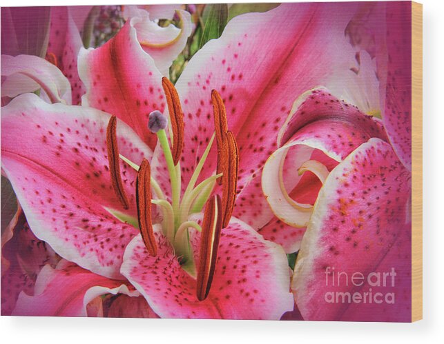 Mariola Wood Print featuring the photograph Lily Fantasy by Kasia Bitner