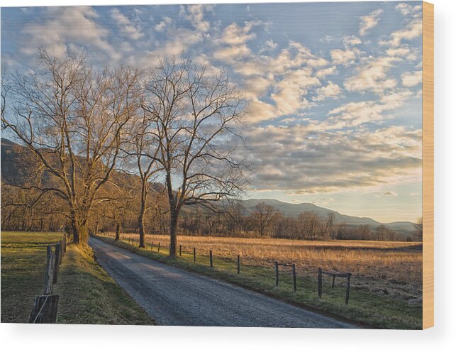 Blount County Wood Print featuring the photograph Linger Longer by Kristina Plaas