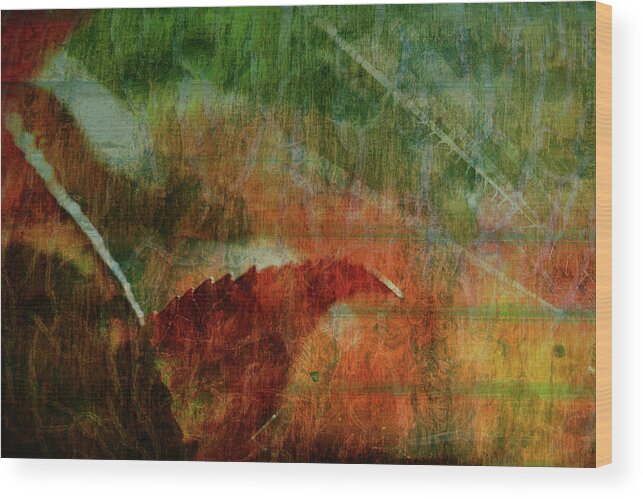 Nature Wood Print featuring the photograph Liquid Amber by Bonnie Bruno