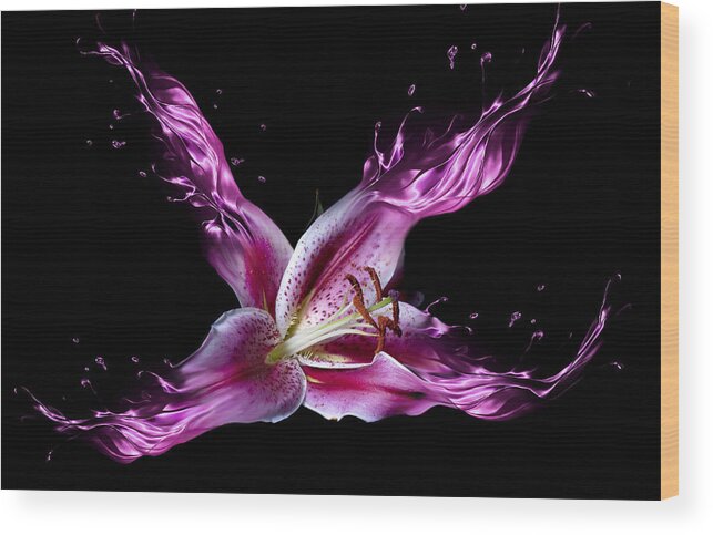 Flower Wood Print featuring the photograph Liquid Lily by Lori Hutchison