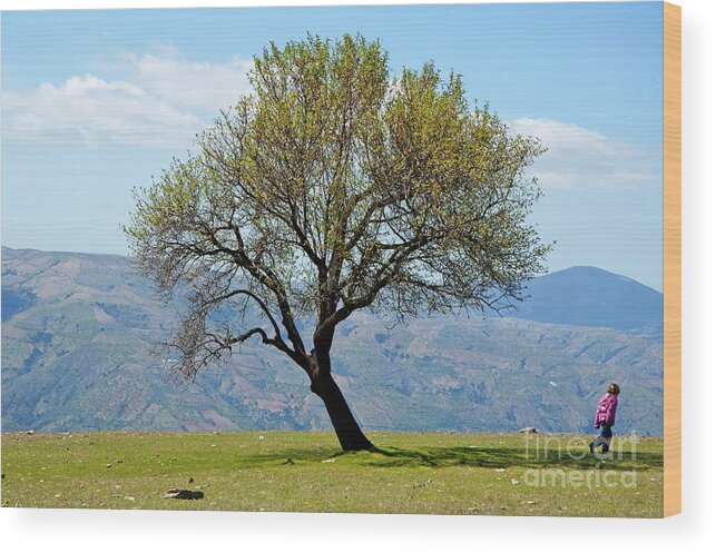 Alpujarra Wood Print featuring the photograph Little girl walking past a tree in springtime by Sami Sarkis