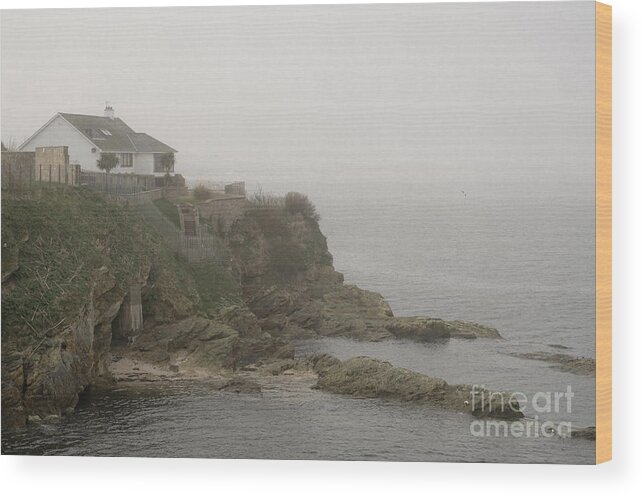 Little House Wood Print featuring the photograph Little house on the edge by Elena Perelman