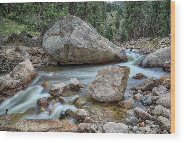 Creek Wood Print featuring the photograph Little Pine Tree Stream View by James BO Insogna