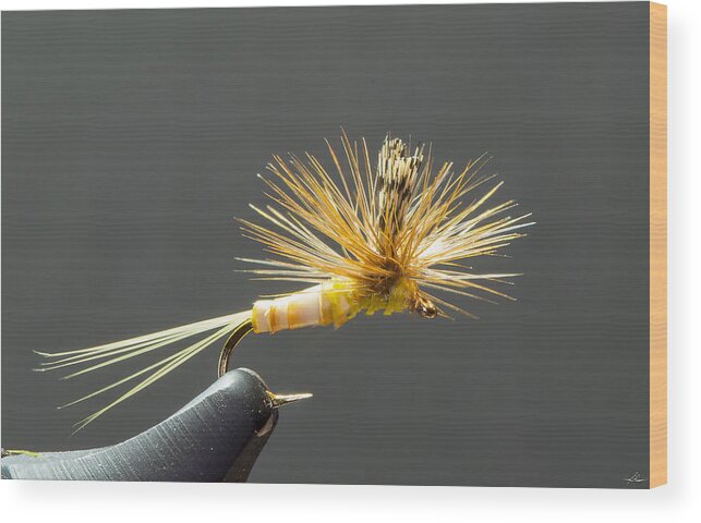 Fly Tying Wood Print featuring the photograph Little Yellow Parachute Mayfly by Phil And Karen Rispin