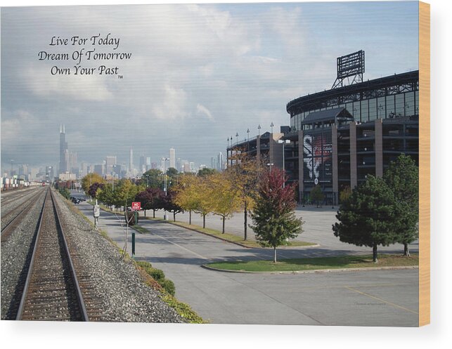 Chicago White Sox Wood Print featuring the photograph Live Dream Own Chicago White Sox US Cellular Field Text by Thomas Woolworth