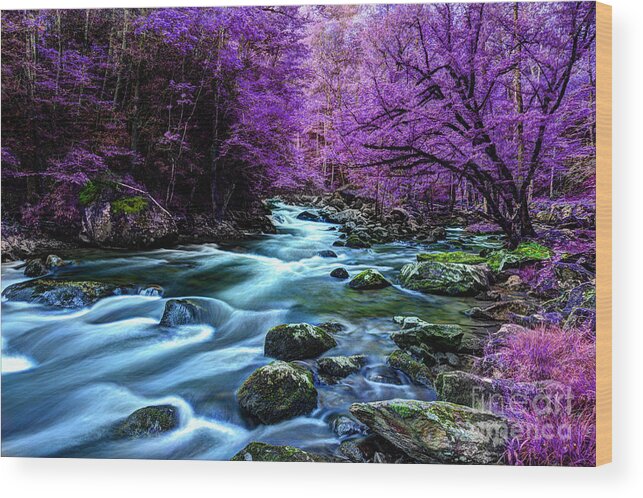 River Scene Wood Print featuring the photograph Living In Yesterday's Dream by Michael Eingle