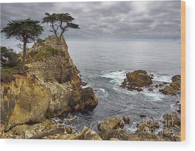 Lone Cypress Wood Print featuring the photograph Living on the edge by Steve Ondrus