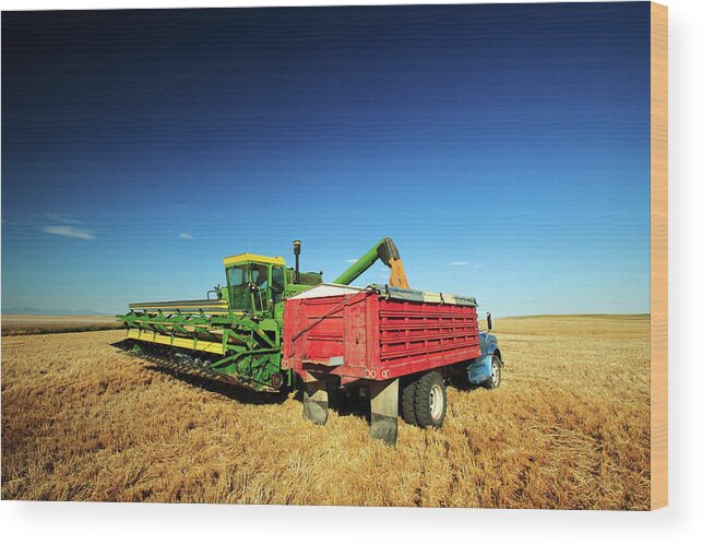 Combine Wood Print featuring the photograph Load of Wheat by Todd Klassy