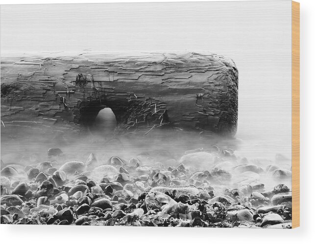 B&w Wood Print featuring the photograph Log In Slow Tide Black And White by Kreddible Trout
