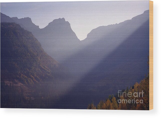 Mountains Wood Print featuring the photograph Logan Pass by Richard Rizzo