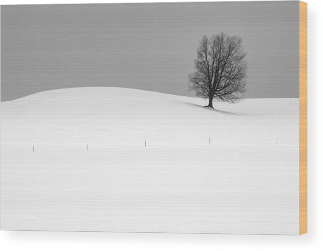 Winter Wood Print featuring the photograph Lone Barren Tree in Winter by Randall Nyhof