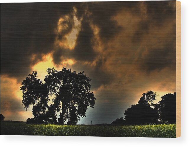 Storm Approaching From The North West Wood Print featuring the photograph Lone sky by David Matthews