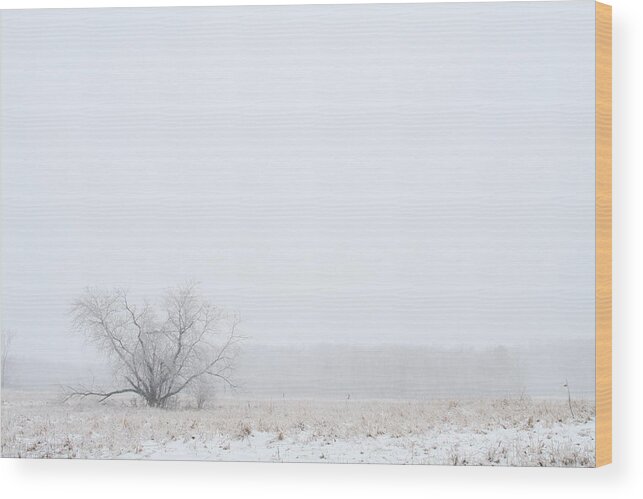 Winter Wood Print featuring the photograph Lonely by Monroe Payne