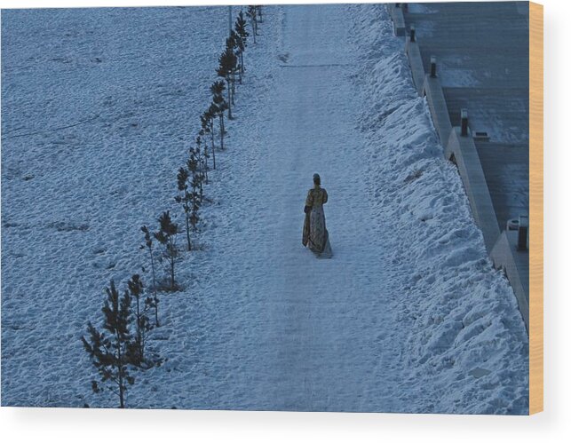 Ulaanbaatar Wood Print featuring the photograph Lonely Walk/Tsagaan sar by Diane Height