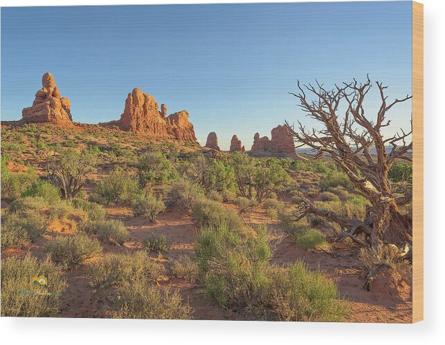 Arches National Park Wood Print featuring the photograph Long Evening Shadows by Jim Thompson