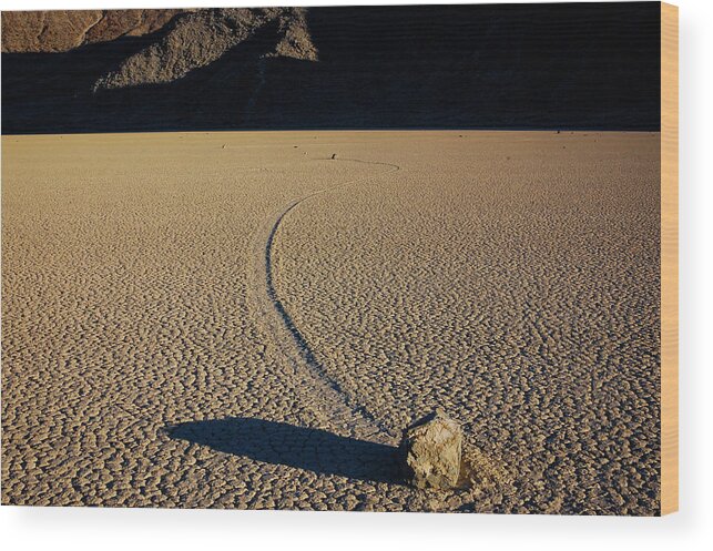 Death Valley Wood Print featuring the photograph Long Tracks by TM Schultze