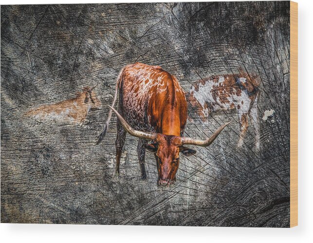 Animal Wood Print featuring the photograph Longhorn Cattle by Doug Long