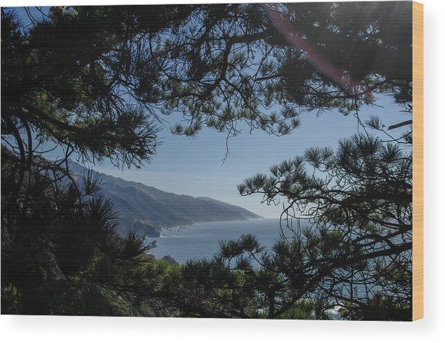 Coastal Wood Print featuring the photograph Looking Back by David Shuler