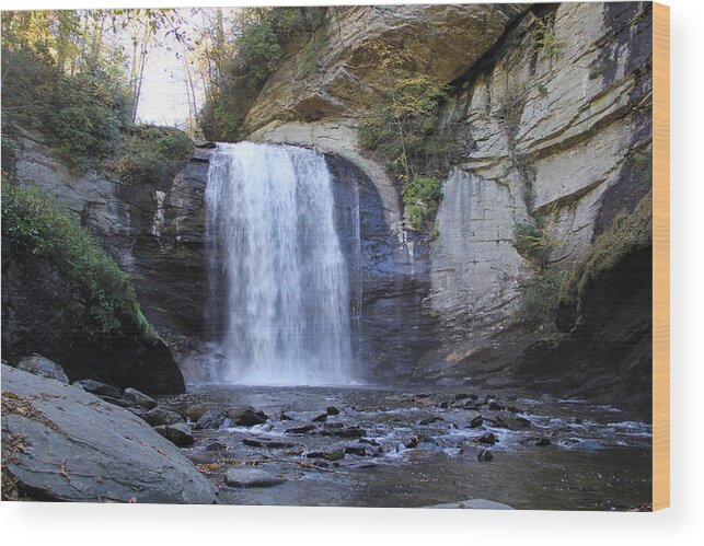 Waterfall Wood Print featuring the photograph Looking Glass Falls by Allen Nice-Webb