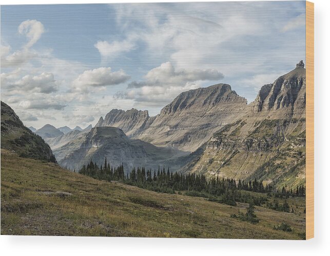 Bishops Cap Wood Print featuring the photograph Looking Towards Bishops Cap and Mt Gould - Glacier NP by Belinda Greb