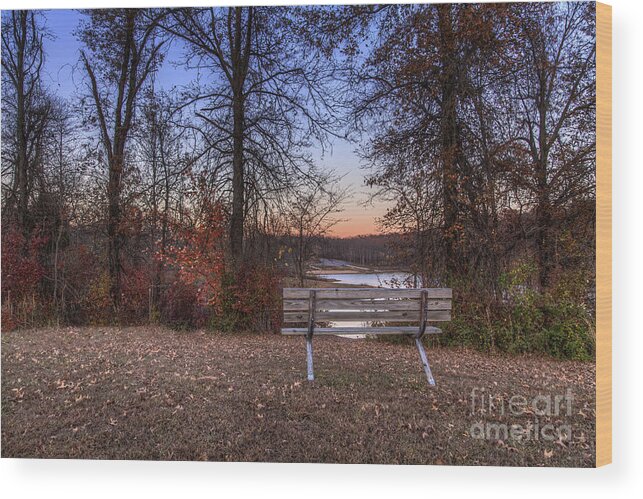 Bench Wood Print featuring the photograph Lost in Thought by Larry Braun