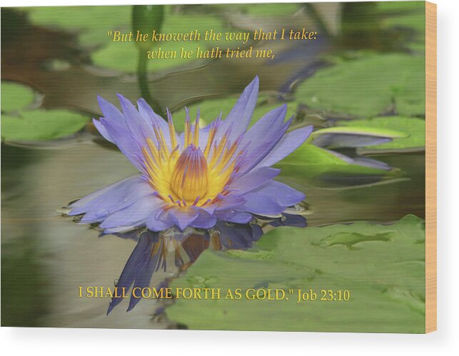 Christian Art Wood Print featuring the photograph Lotus Flower Inspirational by Marlin and Laura Hum